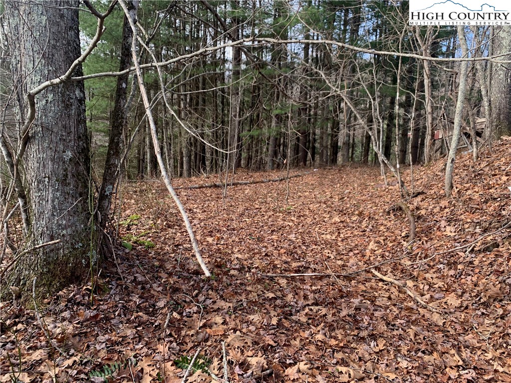 37-ac John Alley Road Lansing, NC 28643 - Photo 10 of 49