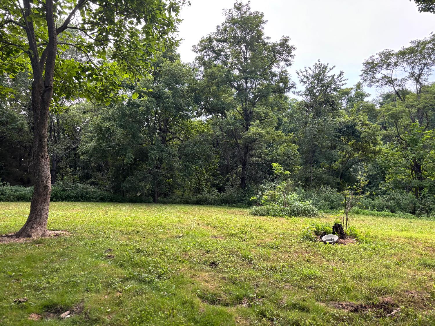 25146 Sanes Creek Road Laurel, IN 47024 - Photo 2 of 2