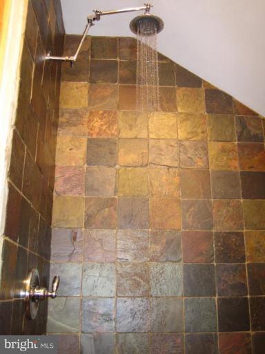 6401 Banbury Road Baltimore, MD 21239 - Photo 13 of 22 Master Bath Shower