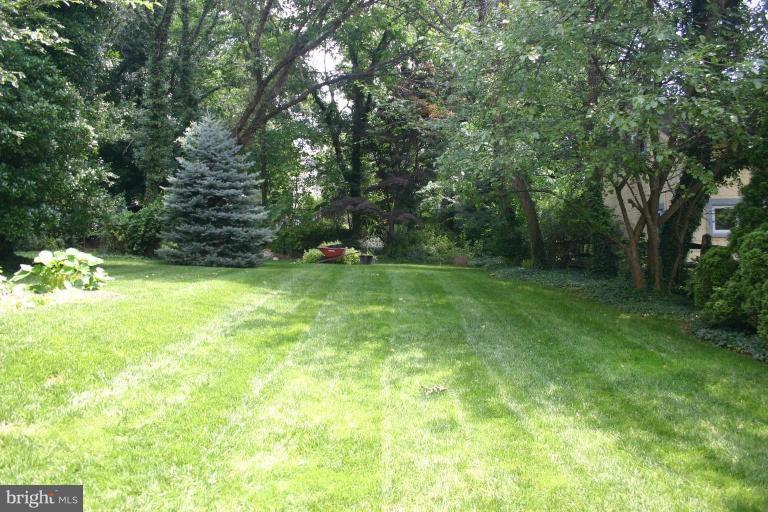 6401 Banbury Road Baltimore, MD 21239 - Photo 10 of 22 HUGE Rear Yard