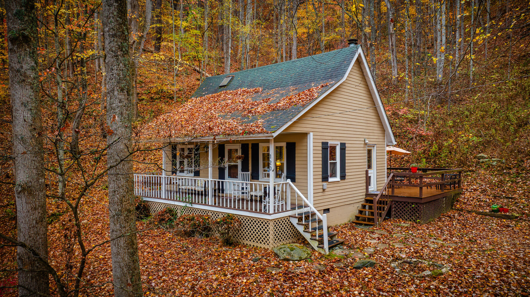 120 Crain Road Flag Pond, TN 37657 - Photo 1 of 32 102