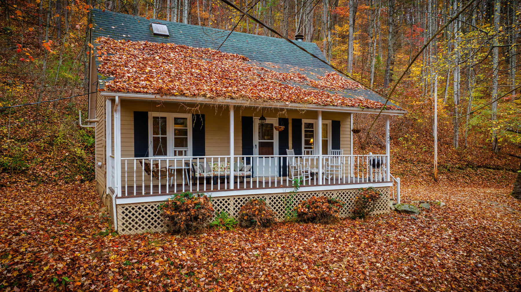 120 Crain Road Flag Pond, TN 37657 - Photo 2 of 32 101