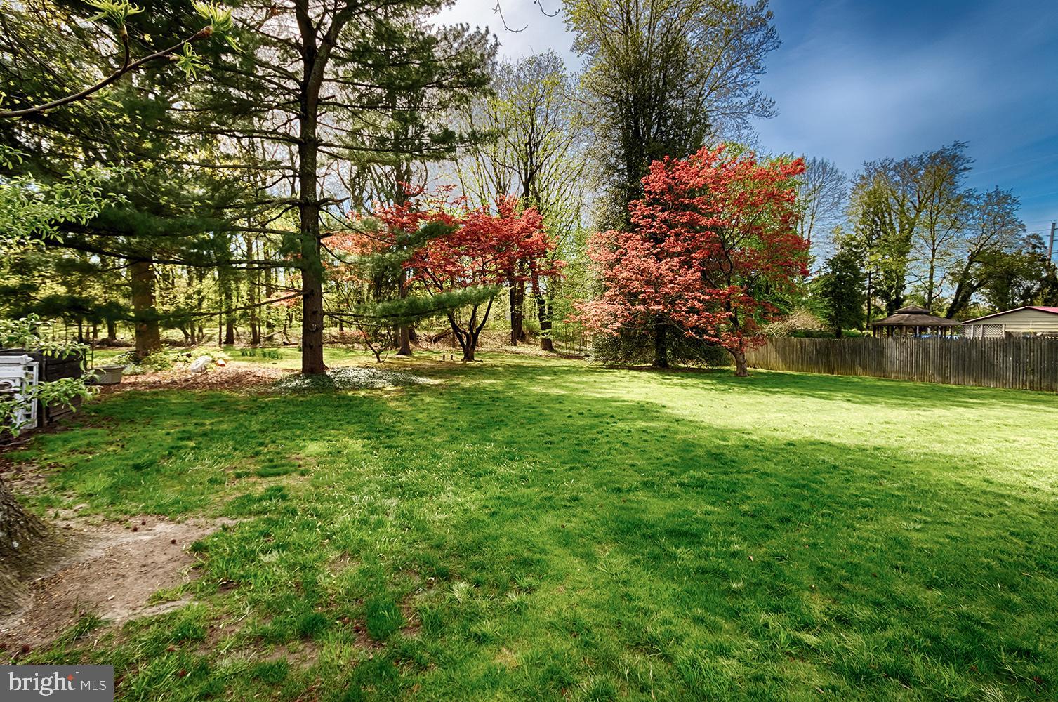 402 High Street Mount Holly, NJ 08060 - Photo 29 of 42 Grassy backyard