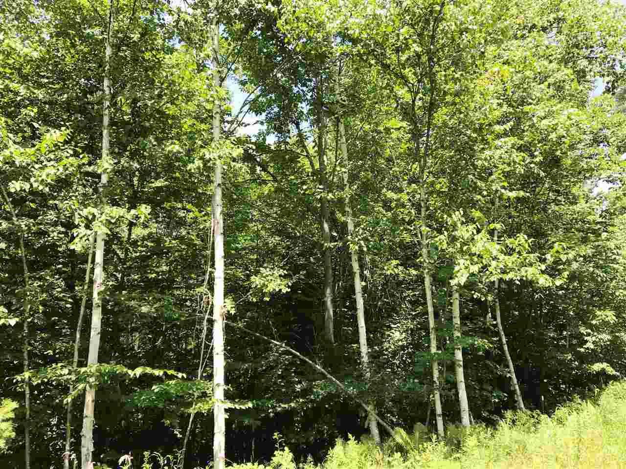 1889 Oregon Road Lisbon, NH 03585 - Photo 2 of 9