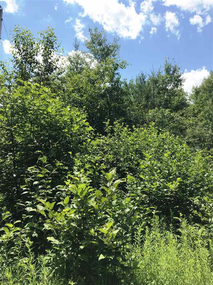 1889 Oregon Road Lisbon, NH 03585 - Photo 3 of 9