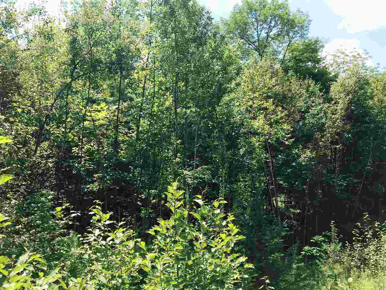 1889 Oregon Road Lisbon, NH 03585 - Photo 4 of 9