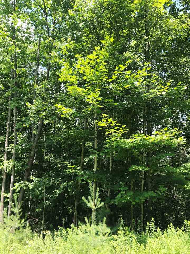 1889 Oregon Road Lisbon, NH 03585 - Photo 5 of 9