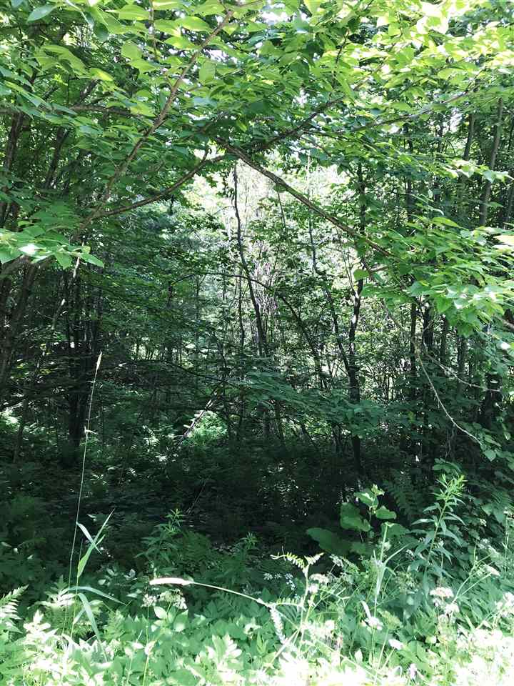 1889 Oregon Road Lisbon, NH 03585 - Photo 6 of 9