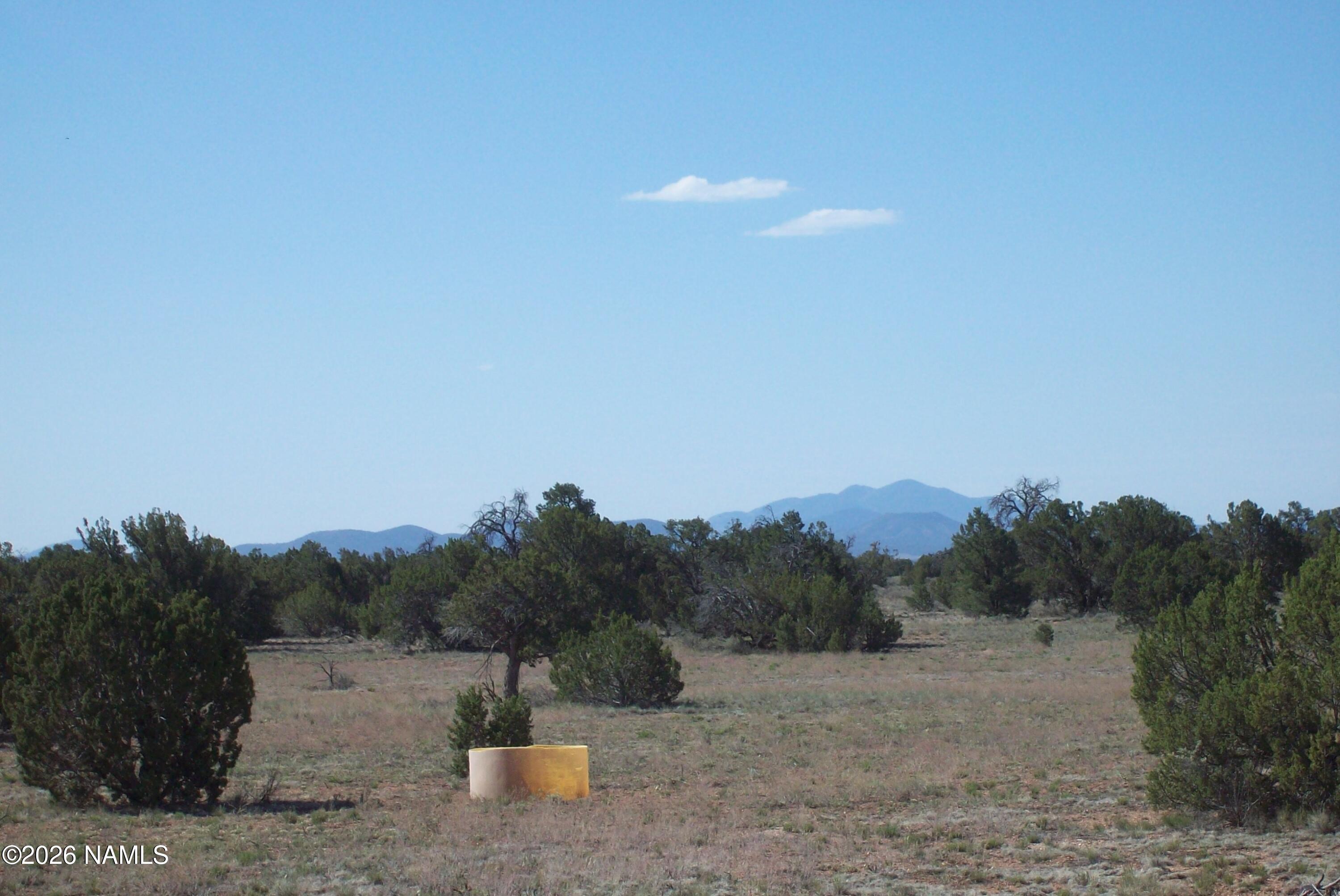 4063 East Woodland Ranch Road Williams, AZ 86046 - Photo 3 of 33 a view of a dry yard with trees