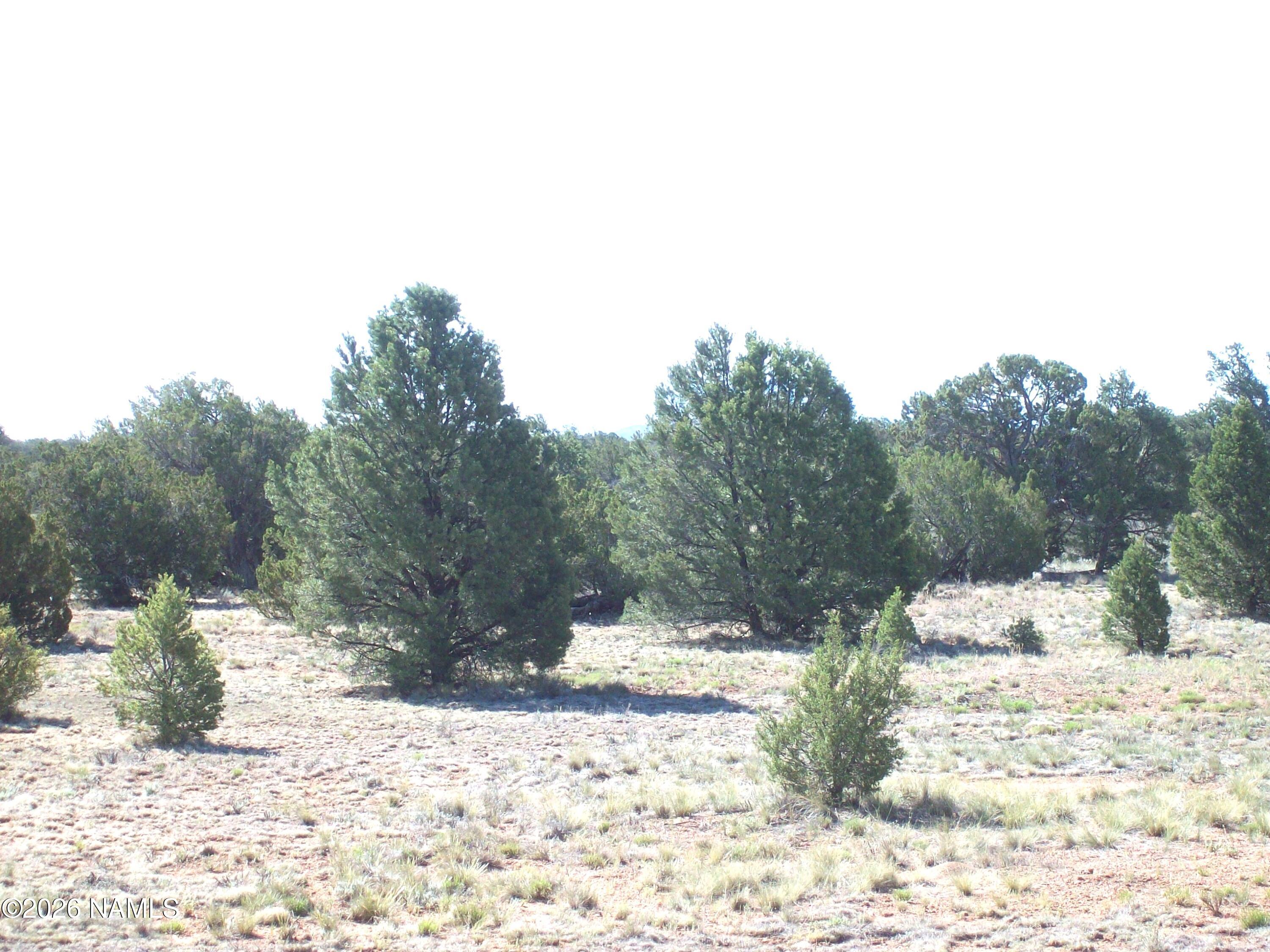 4063 East Woodland Ranch Road Williams, AZ 86046 - Photo 5 of 33 a view of a yard covered in snow
