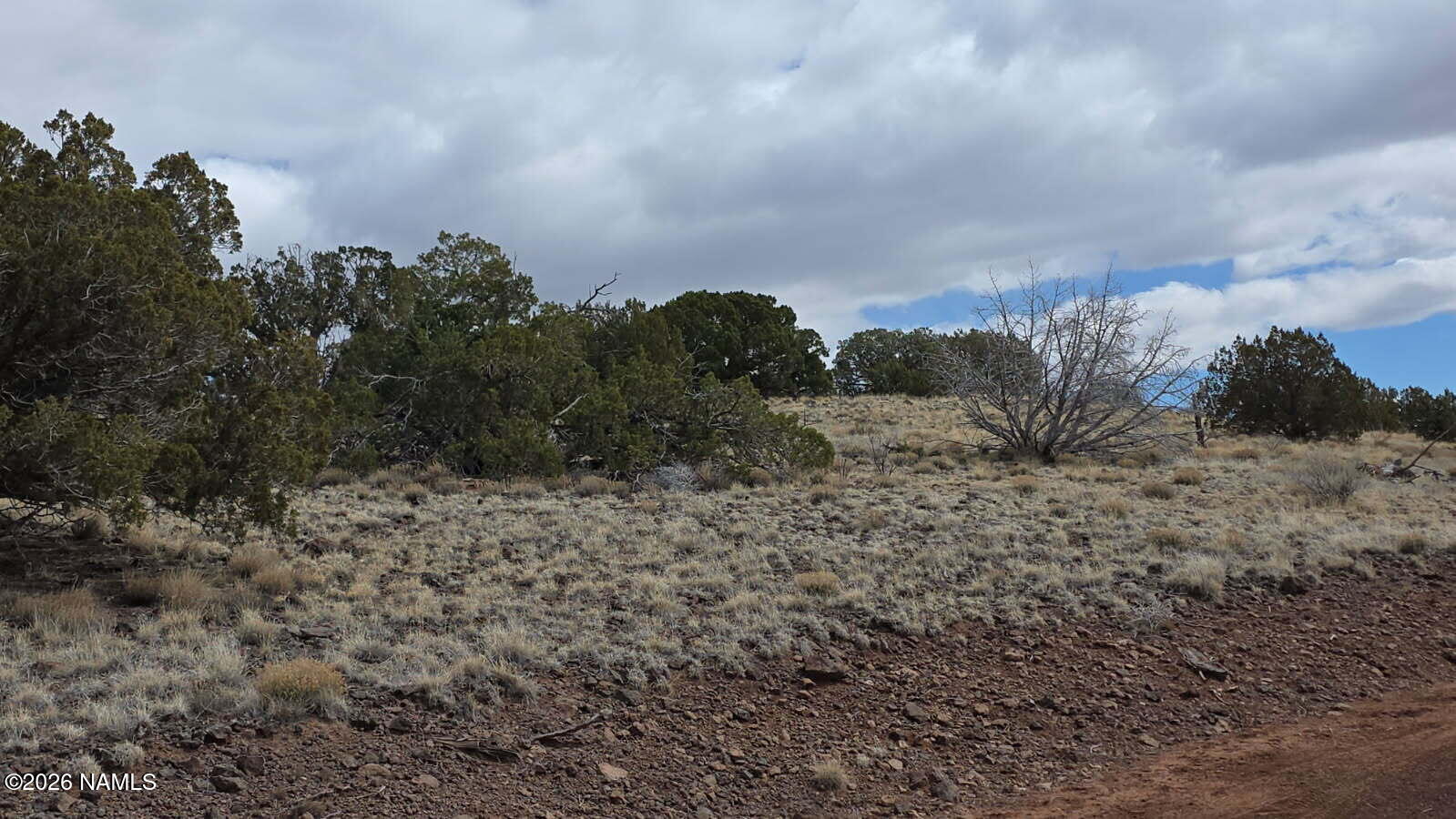 6371 East Roper Circle Williams, AZ 86046 - Photo 12 of 13 6371 E Roper CIR