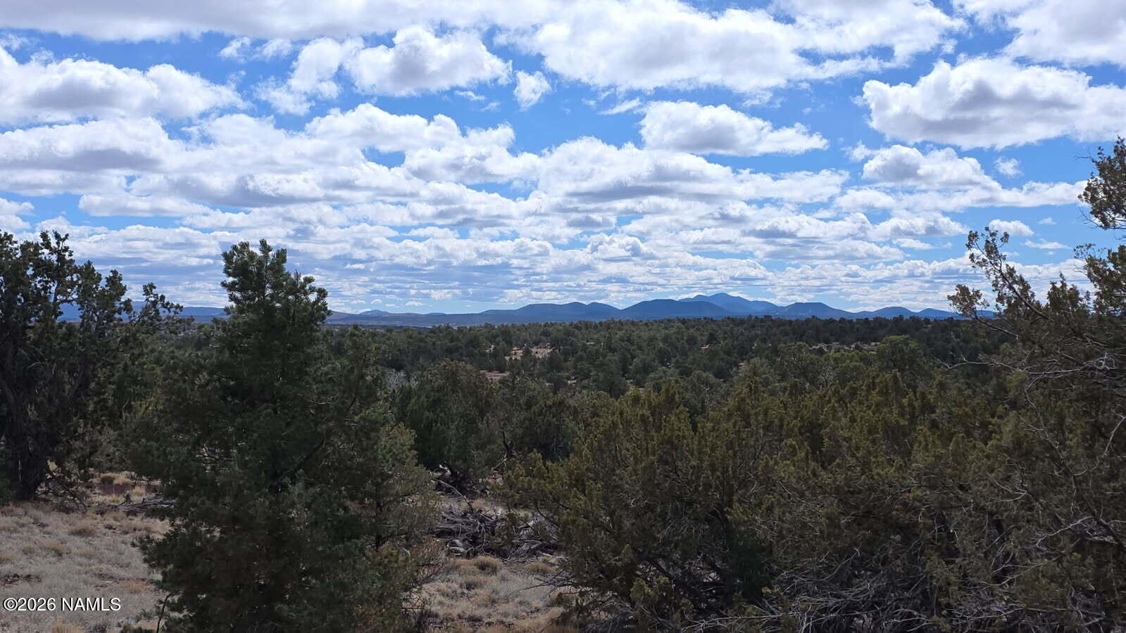 6371 East Roper Circle Williams, AZ 86046 - Photo 2 of 13 6371 E Roper CIR