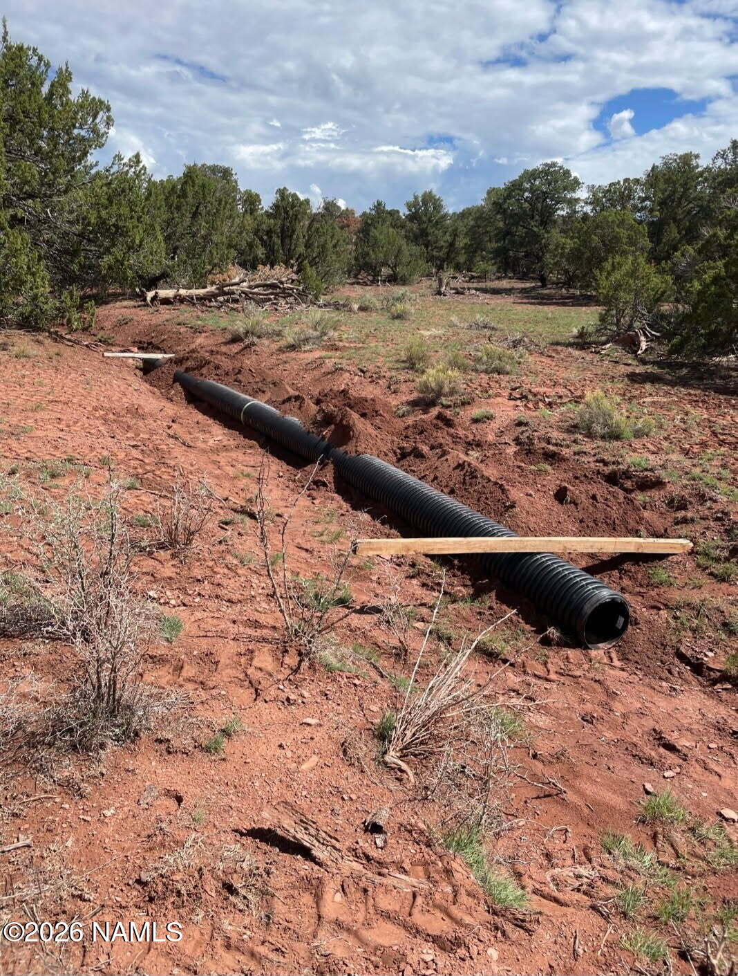 6371 East Roper Circle Williams, AZ 86046 - Photo 5 of 13 6371 E Roper CIR