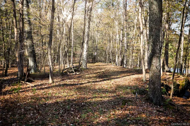 $625,000 | O Band Camp Road, Saugerties, NY 12477