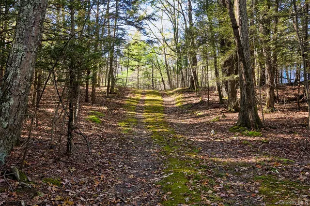 $625,000 | O Band Camp Road, Saugerties, NY 12477