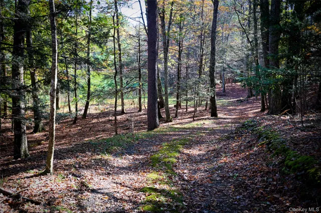 $625,000 | O Band Camp Road, Saugerties, NY 12477