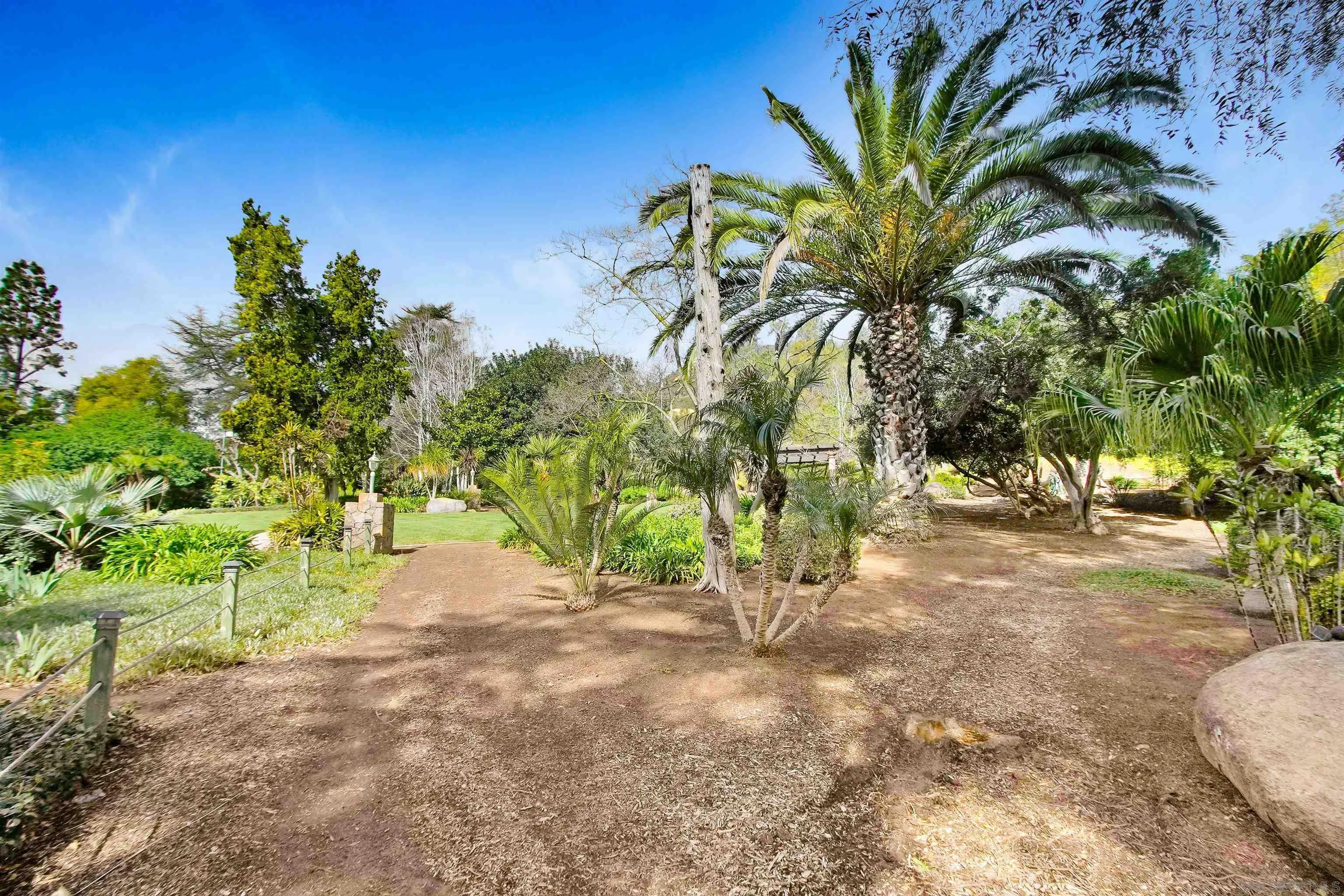 16757 Old Guejito Grade Road Escondido, CA 92027 - Photo 39 of 49 a view of a yard with a tree