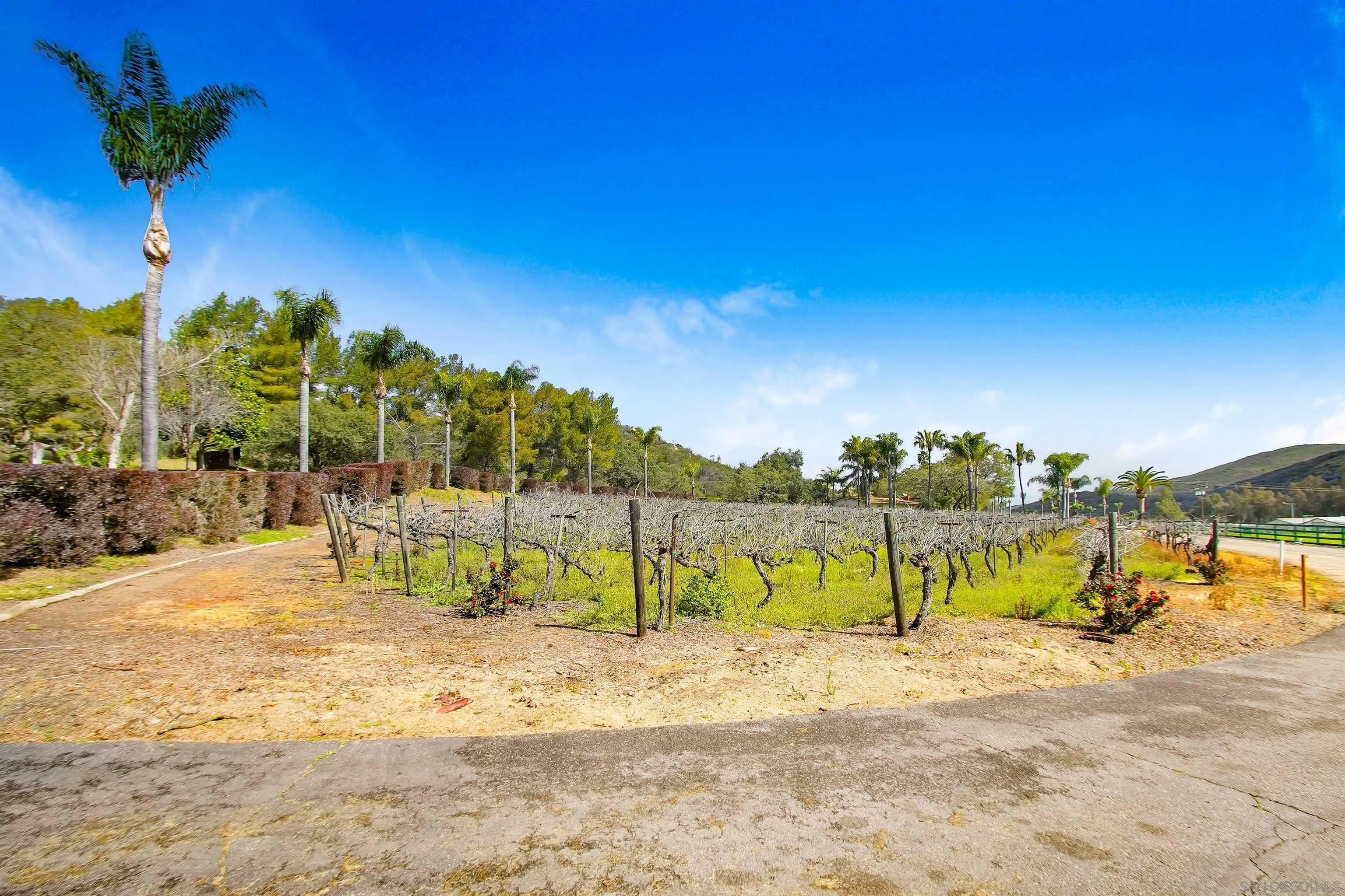 16757 Old Guejito Grade Road Escondido, CA 92027 - Photo 41 of 49 a view of a lake with a building in the background