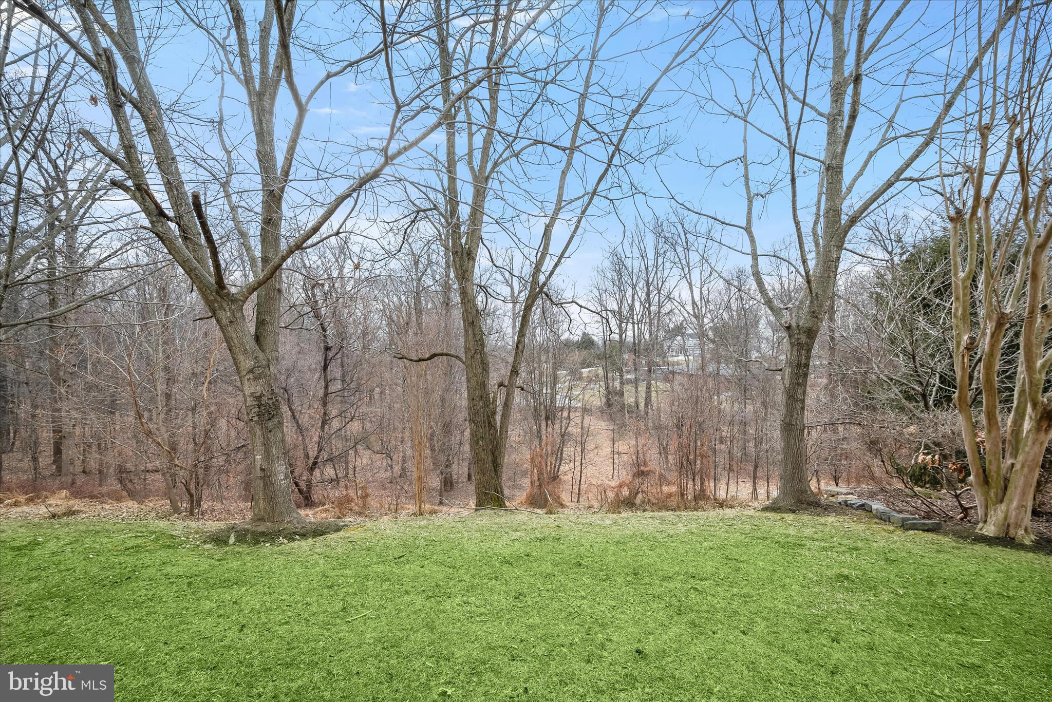 8736 Endless Ocean Way, Unit 24 Columbia, MD 21045 - Photo 55 of 61 a backyard of a house with lots of green space