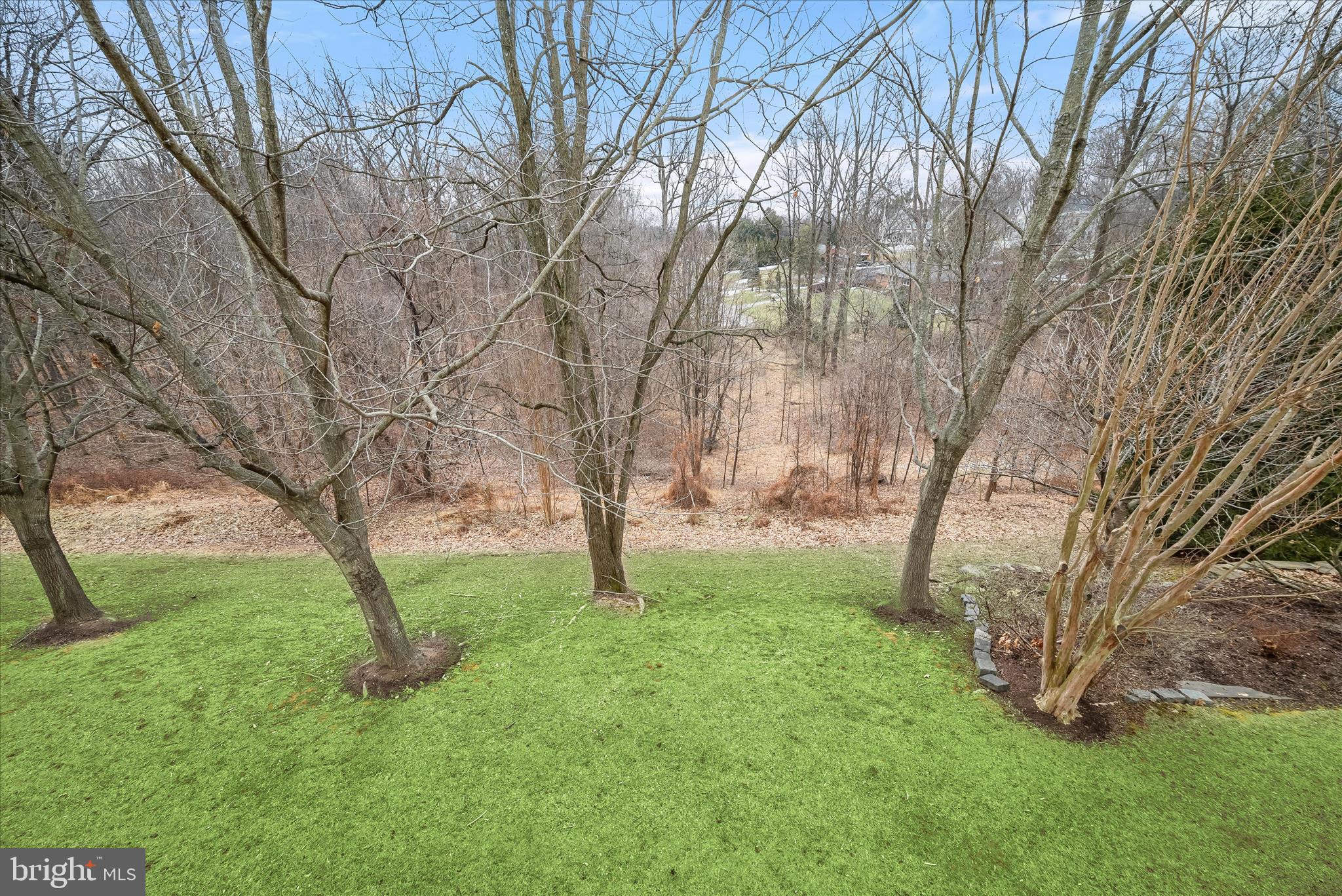 8736 Endless Ocean Way, Unit 24 Columbia, MD 21045 - Photo 56 of 61 a view of backyard with tree