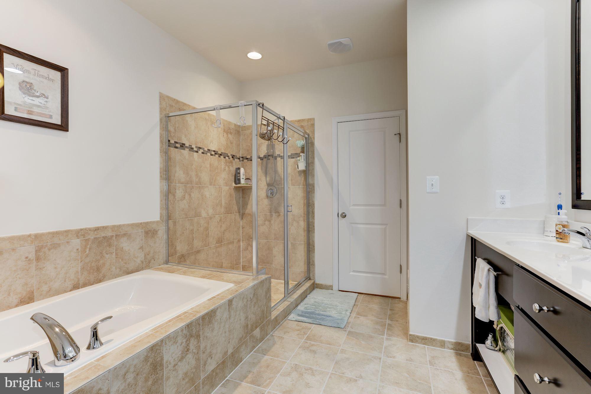 42267 Riggins Ridge Terrace Ashburn, VA 20148 - Photo 14 of 22 Bath (Master)