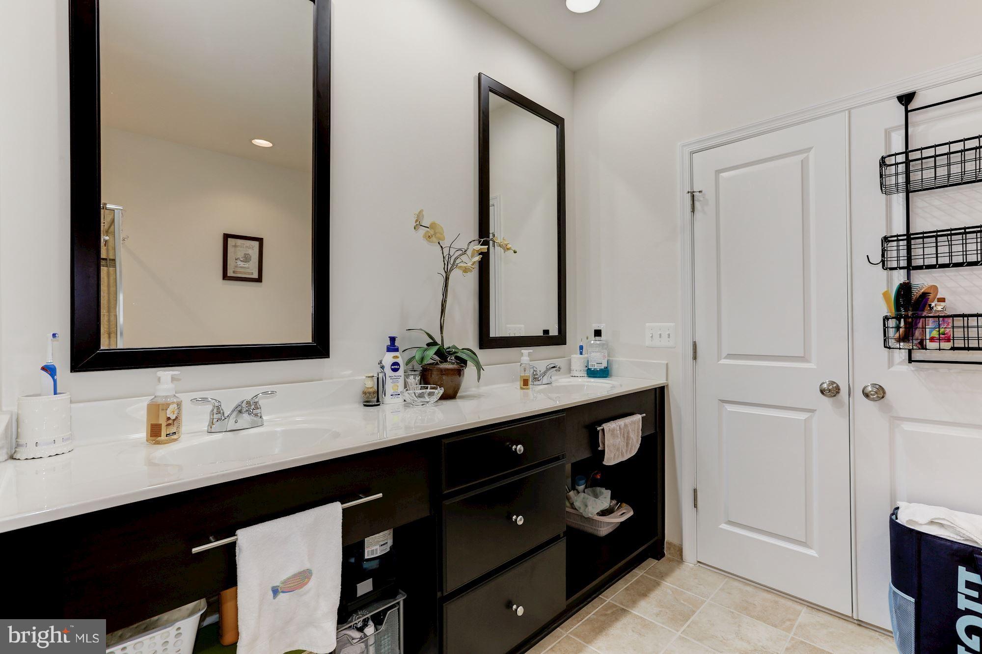 42267 Riggins Ridge Terrace Ashburn, VA 20148 - Photo 15 of 22 Bath (Master)