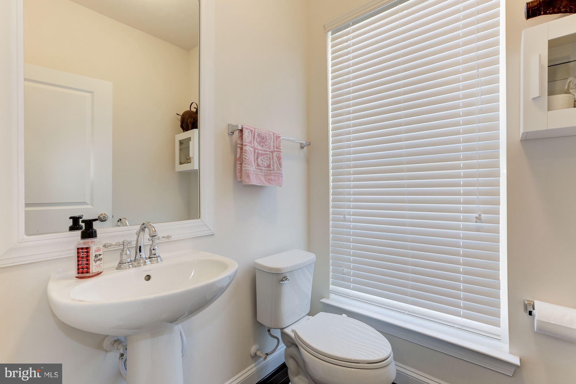 42267 Riggins Ridge Terrace Ashburn, VA 20148 - Photo 7 of 22 Half Bath