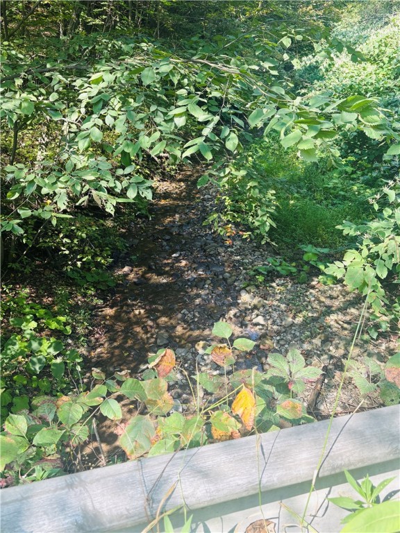 Hill Road Millport, NY 14864 - Photo 3 of 12