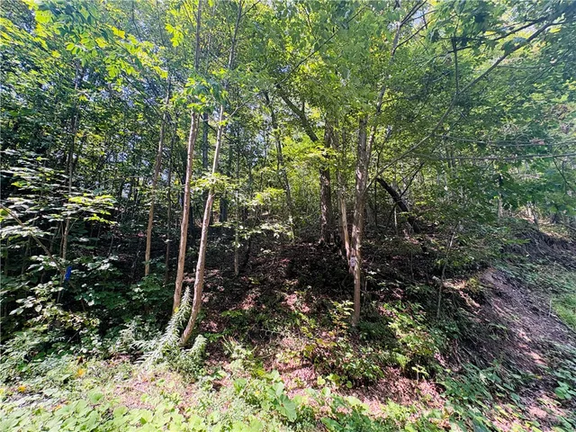 $16,000 | Hill Road, Millport, NY 14864