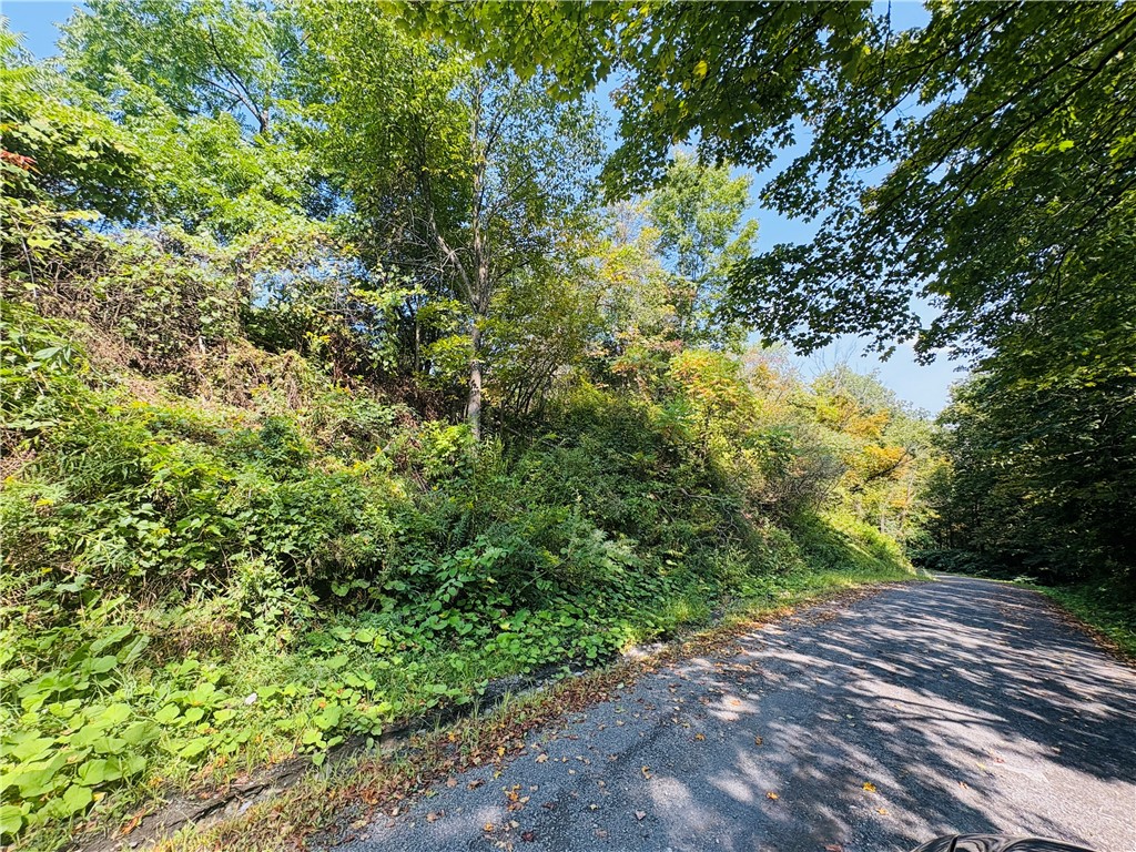 Hill Road Millport, NY 14864 - Photo 5 of 12