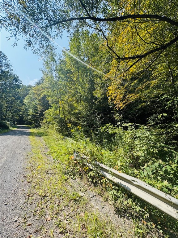 Hill Road Millport, NY 14864 - Photo 8 of 12