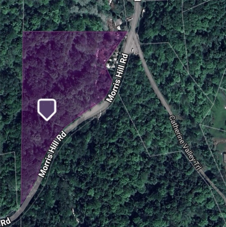 Hill Road Millport, NY 14864 - Photo 10 of 12