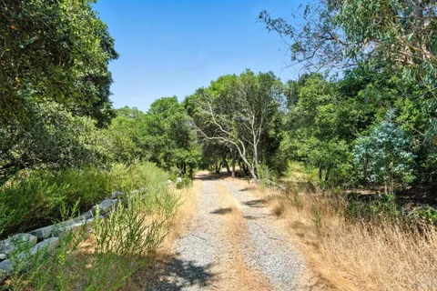 a view of a yard