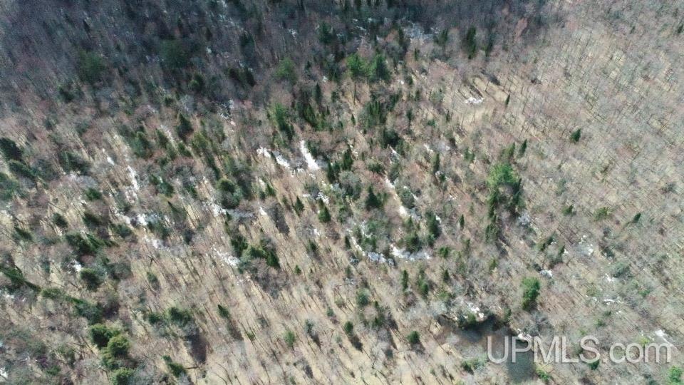 11445 Chesbrough Lake Road Newberry, MI 49868 - Photo 69 of 75