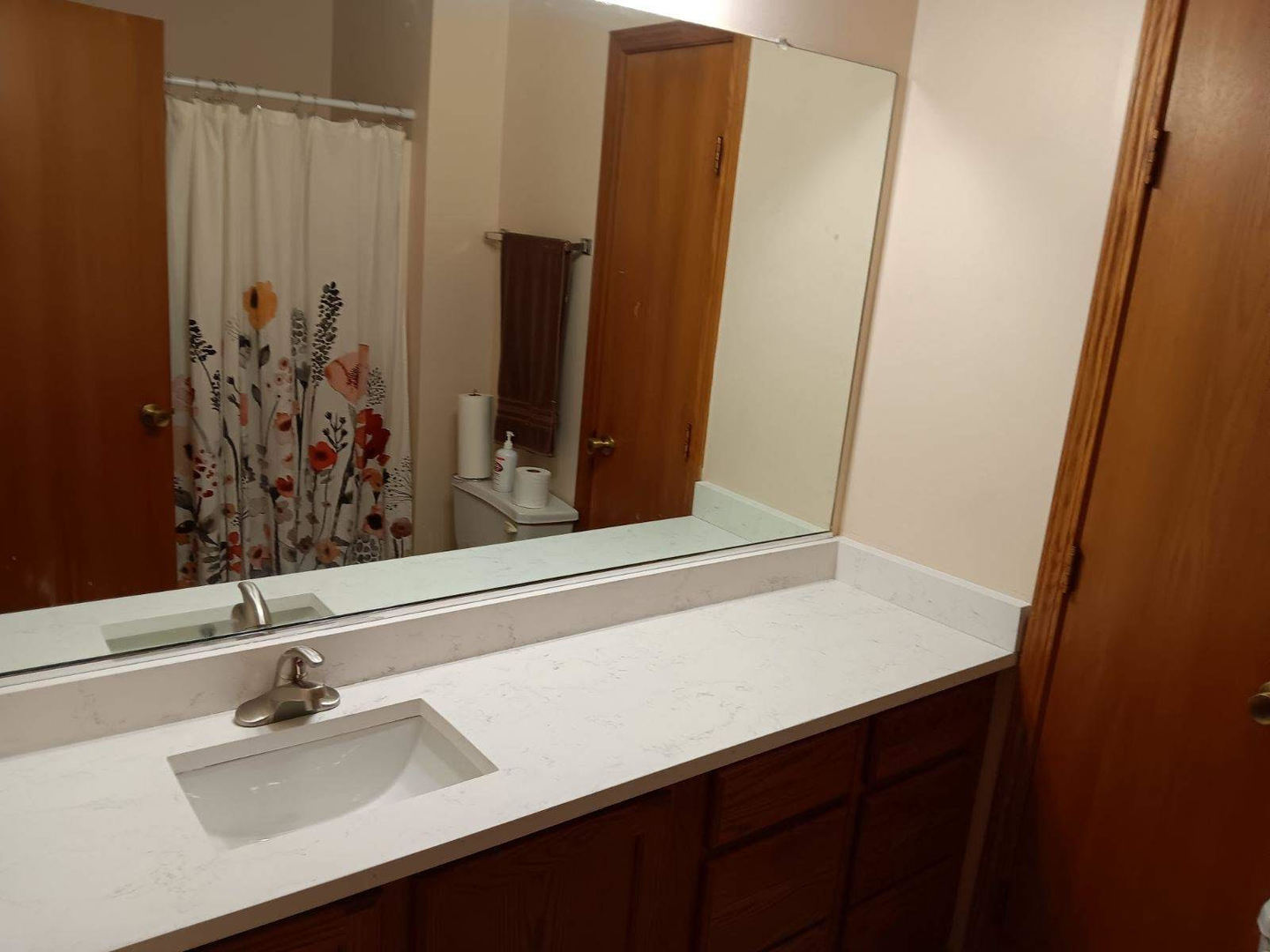 1560 Mallards Cove Beecher, IL 60401 - Photo 20 of 43 a bathroom with a sink and a mirror