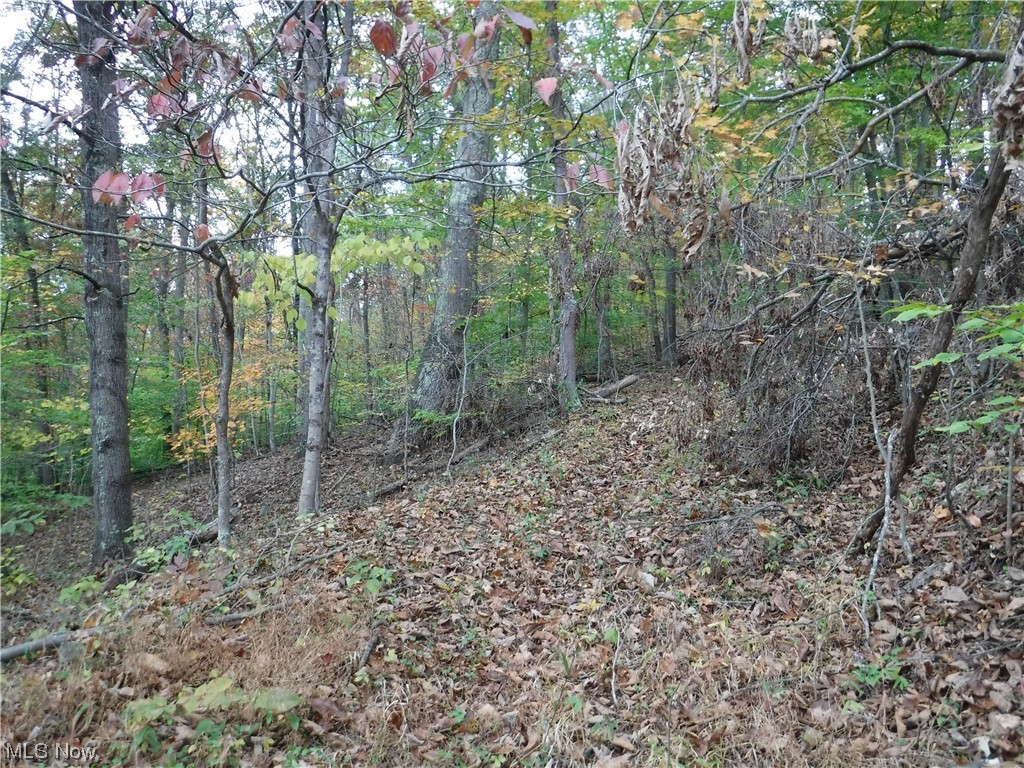 State Route26 Wingett Run Reno, OH 45773 - Photo 22 of 34 Trail on the south side leading from river into the hardwoods.