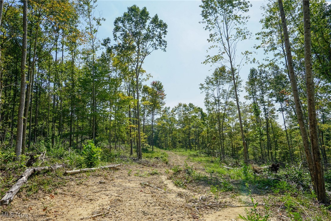 Blackfork Road Oak Hill, OH 45656 - Photo 13 of 24 View of landscape
