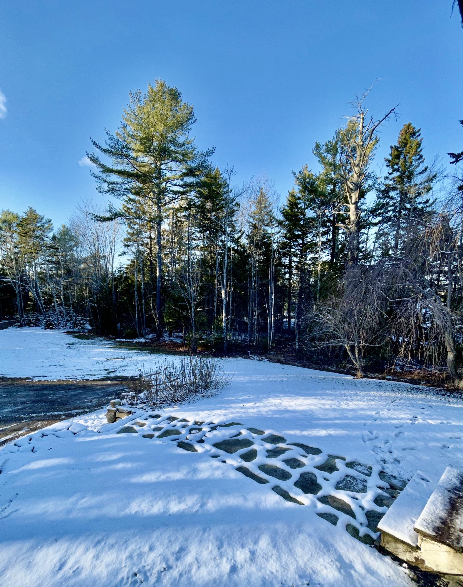 234 Turkey Cove Road Tenants Harbor, ME 04860 - Photo 7 of 49 D4181071-F277-48FF-B800-ED0A27498630_1_2