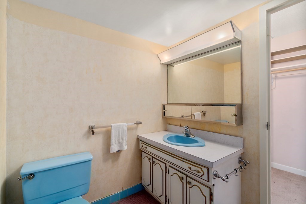 1550 Worcester Road, Unit 402 Framingham, MA 01702 - Photo 20 of 32 a bathroom with a sink a mirror and a bathtub