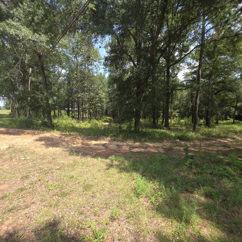0 Grimes Road Ozark, AL 36360 - Photo 4 of 16 Gallery Image 4