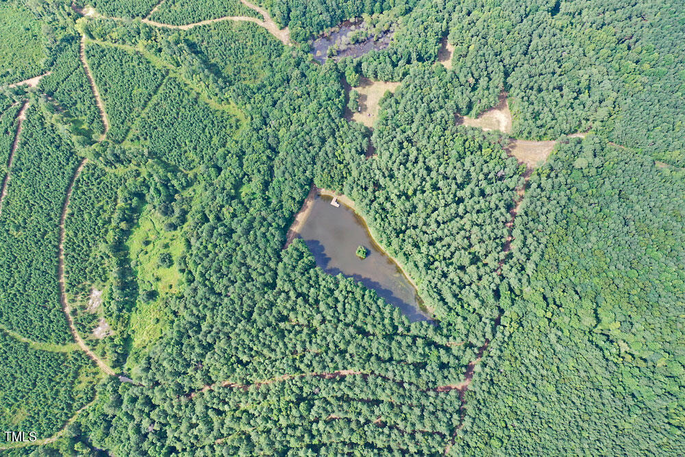 6308 Lancaster Store Road Spring Hope, NC 27882 - Photo 11 of 48 10