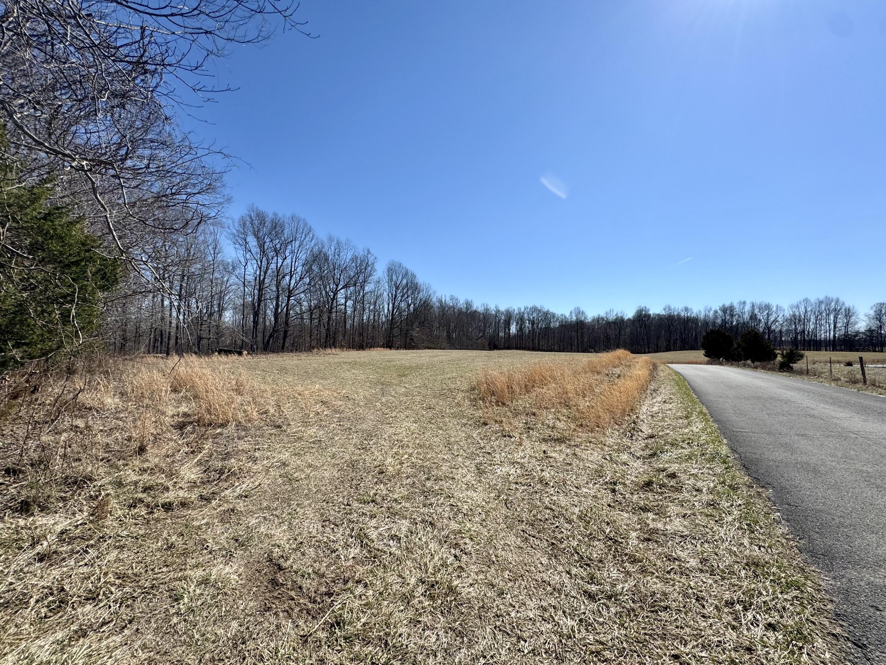 Lot 1 Parks Ridge Road Russell Springs, KY 42642 - Photo 8 of 20 IMG_1792