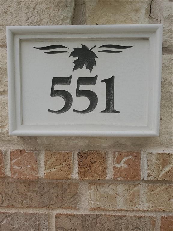 551 New Country Road Kyle, TX 78640 - Photo 34 of 34 a close view of sink