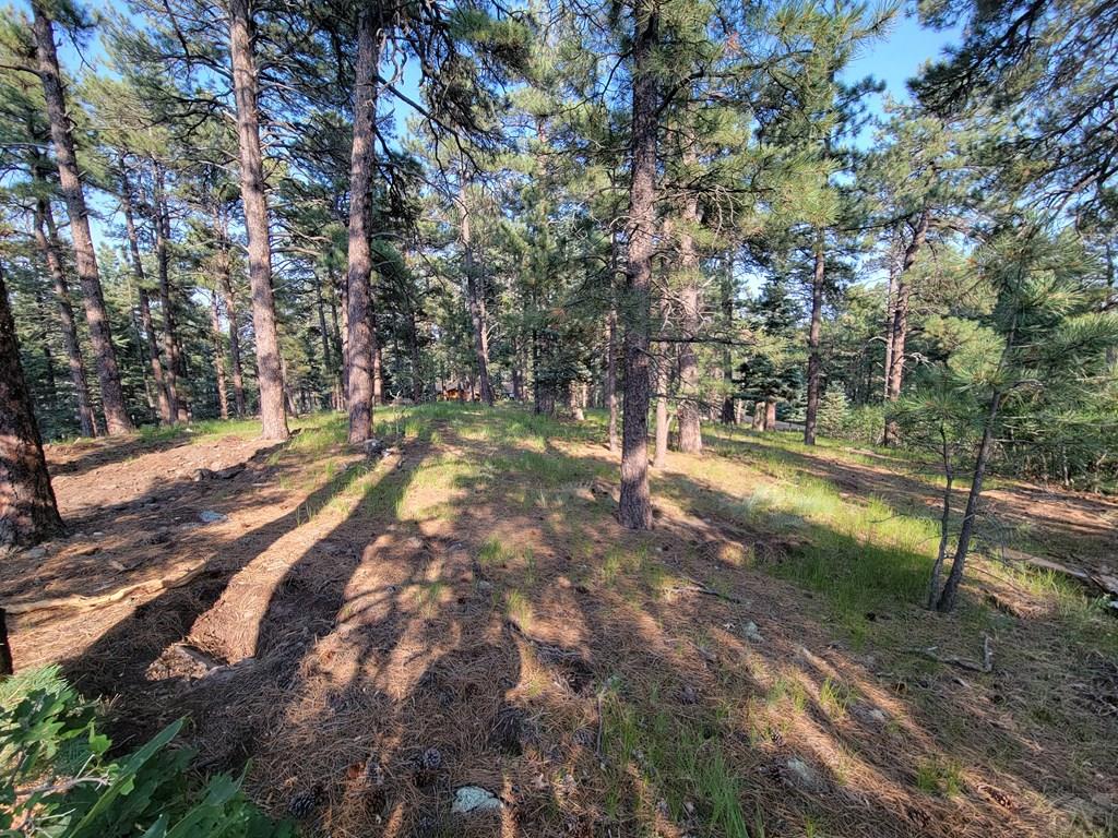 8335 Zorn Road Rye, CO 81069 - Photo 29 of 49