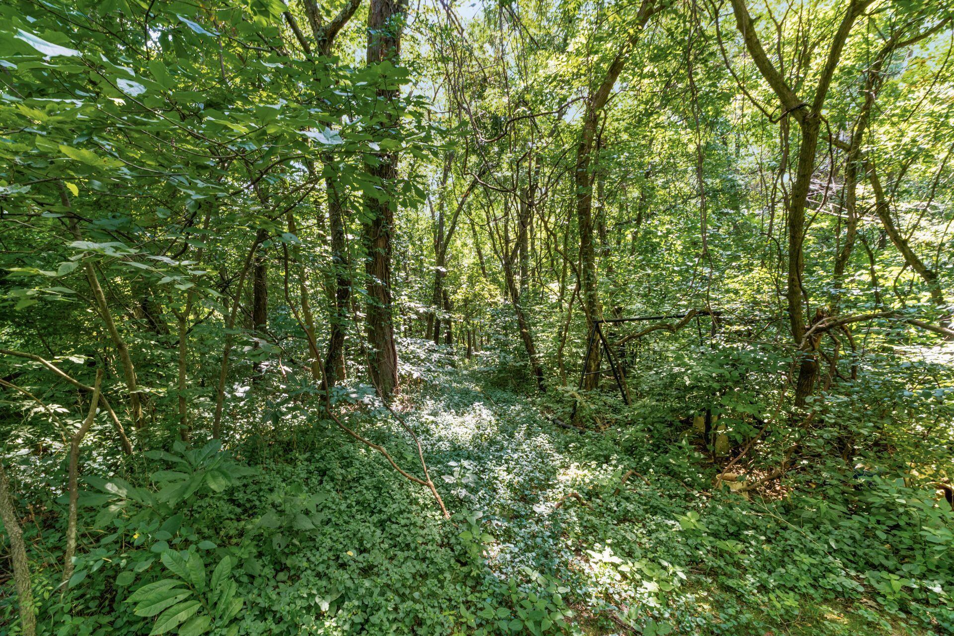 6609 Refugee Road Southwest Etna, OH 43062 - Photo 45 of 47 048_ 6609 Refugee Rd SW - 009