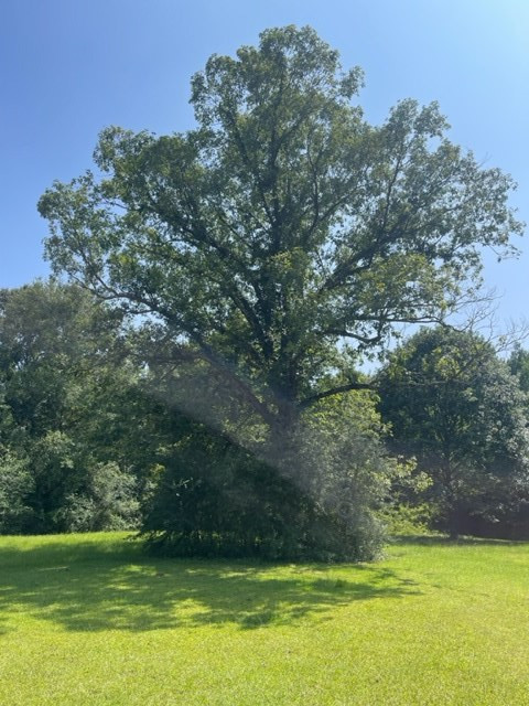82 Dinan Church Road Tylertown, MS 39667 - Photo 23 of 30 Photo 23