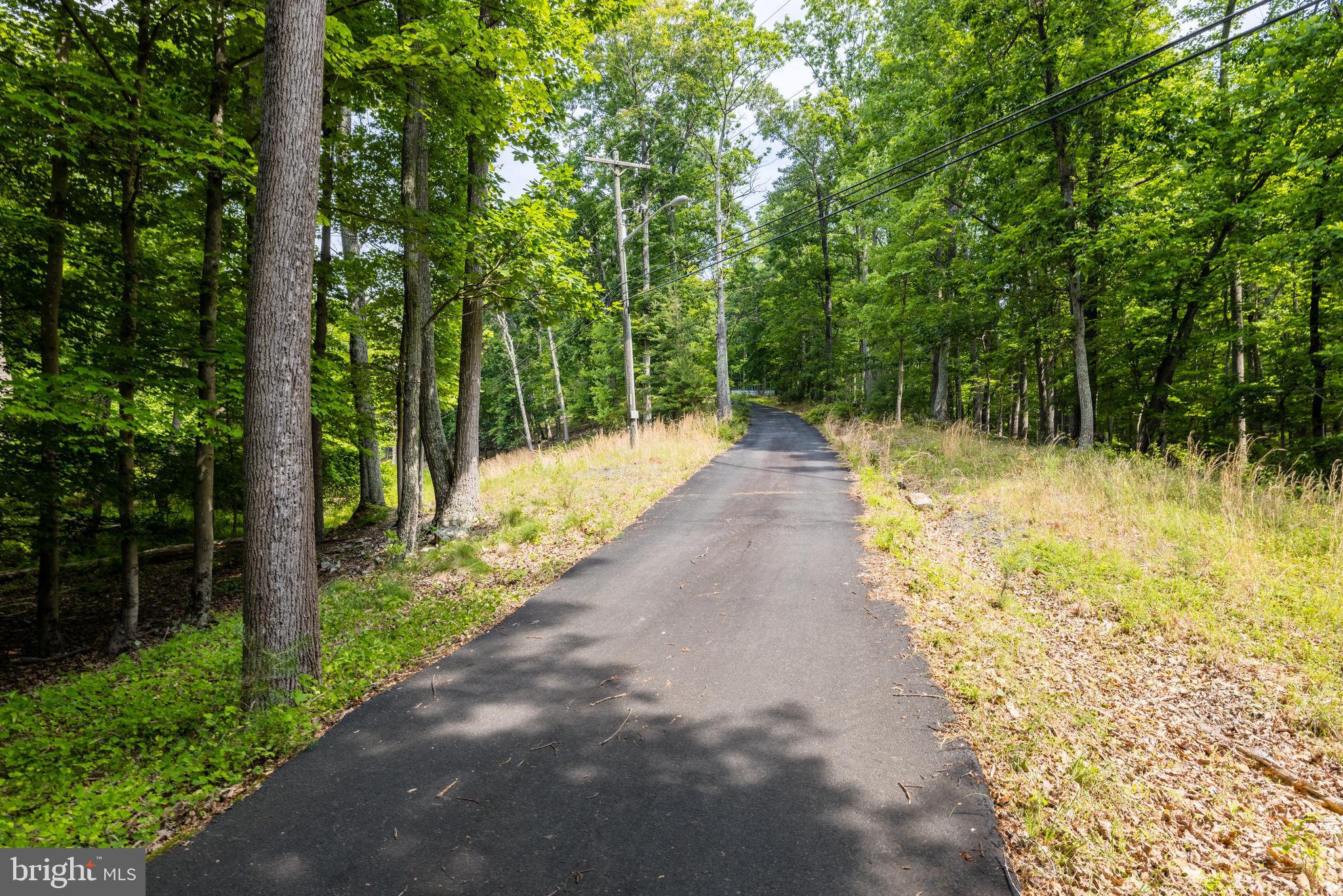 17002 Waterfall Road Haymarket, VA 20169 - Photo 84 of 98