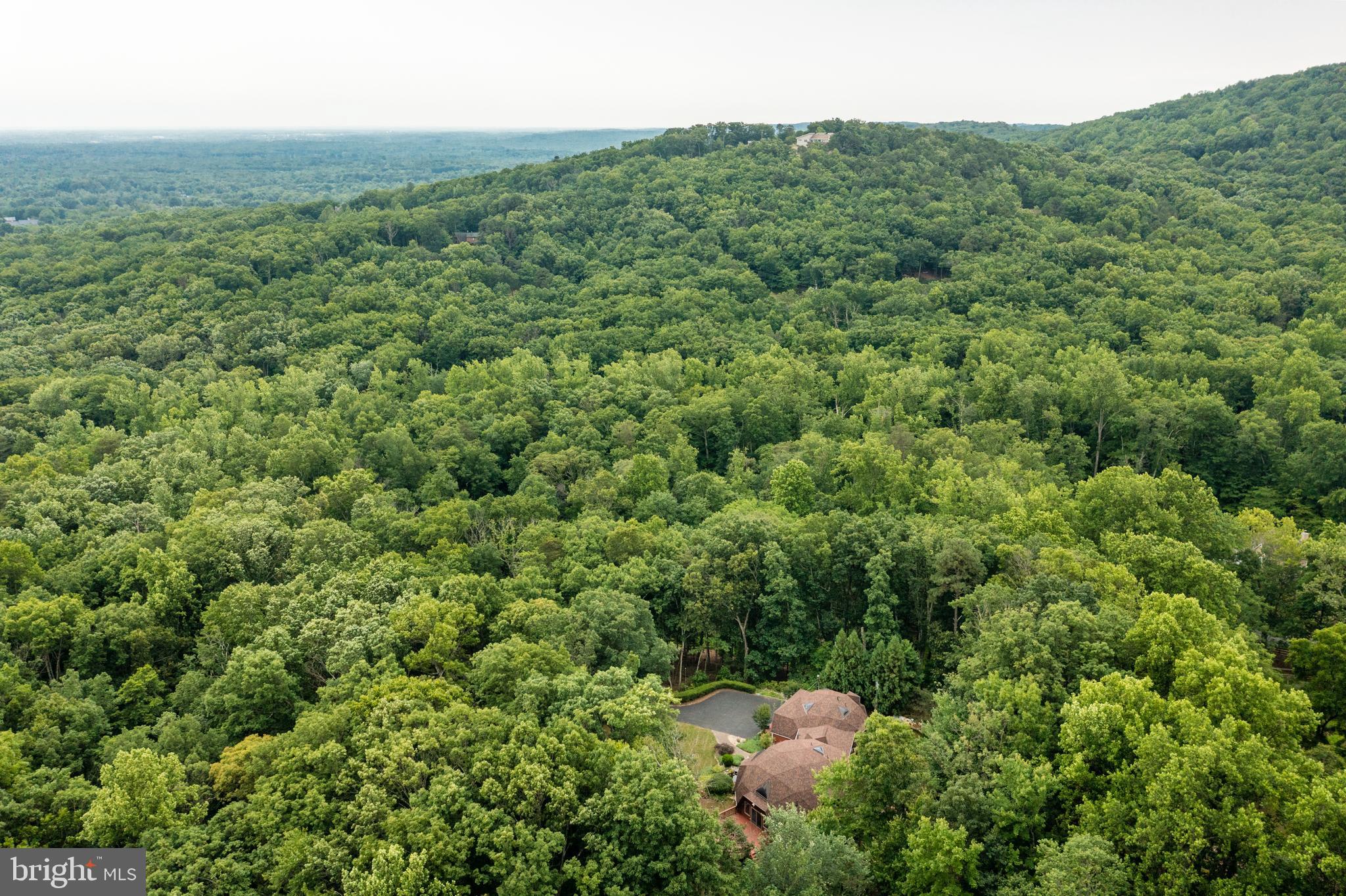 17002 Waterfall Road Haymarket, VA 20169 - Photo 93 of 98