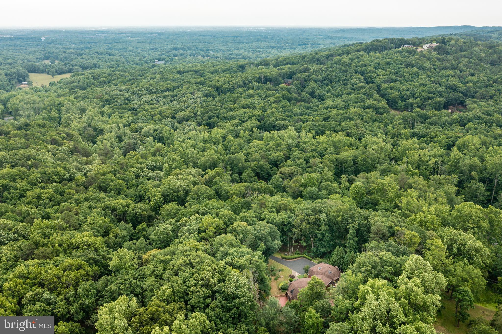 17002 Waterfall Road Haymarket, VA 20169 - Photo 94 of 98