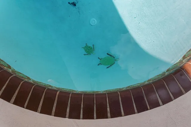 $1,990 | 216 Ocean Breeze, Unit 1 DN, Lake Worth Beach, FL 33460